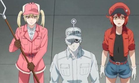 Sweet moment of Red blood cell and White blood cell, Cells at work, Hataraku  Saibou / Cells at Work!